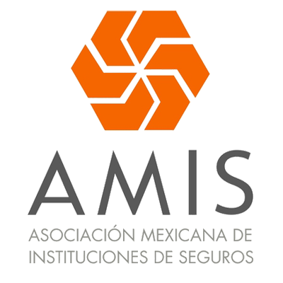 ASOCIACIÓN MEXICANA DE INSTITUCIONES DE SEGUROS A.C.