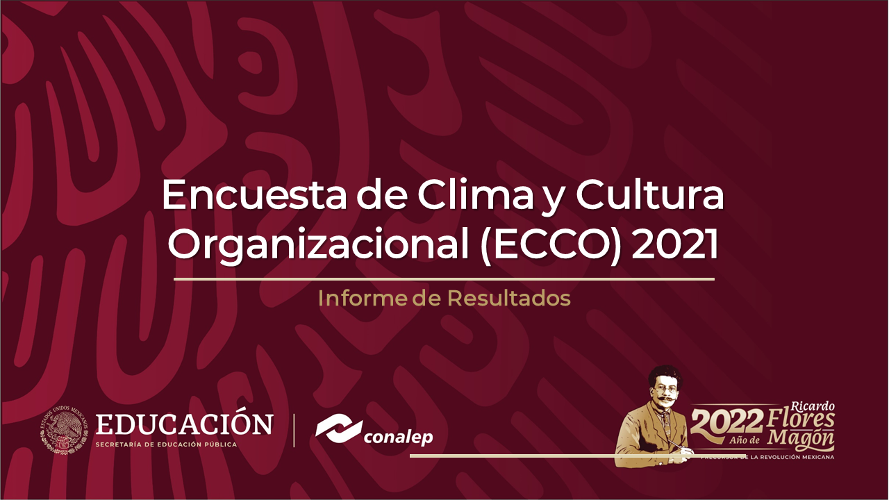 Portada de Resultados ECCO 2021