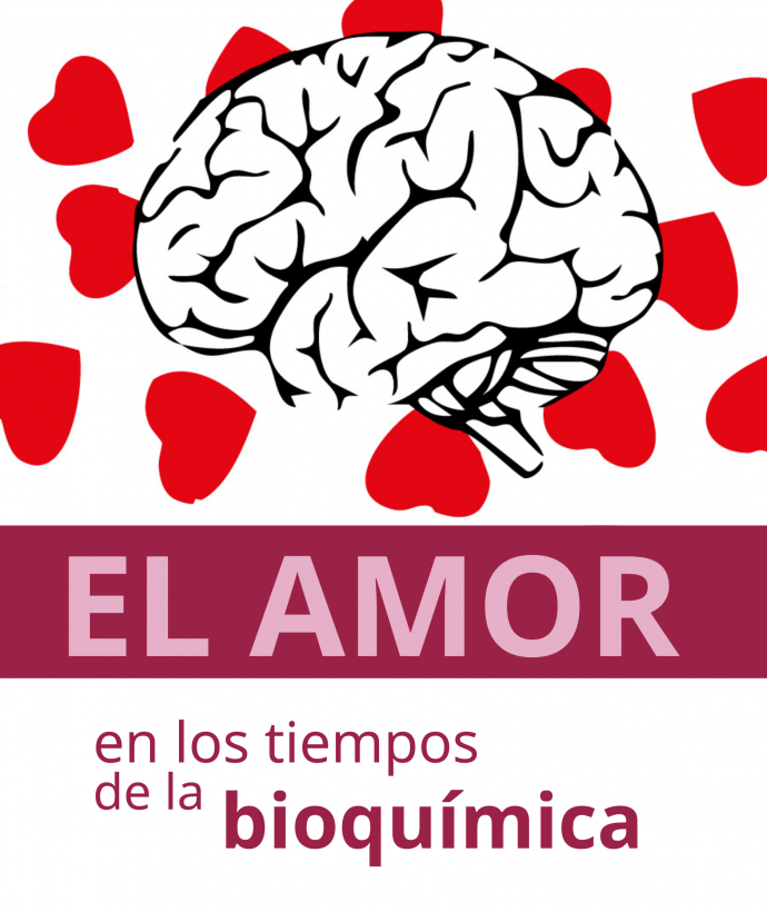 bioquimica