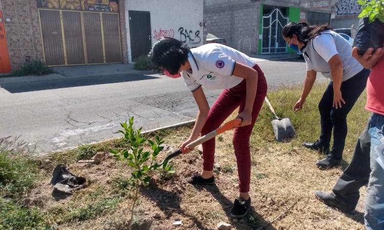 CONALEP Querétaro desarrolla actividades para favorecer una educación ambiental entre sus estudiantes