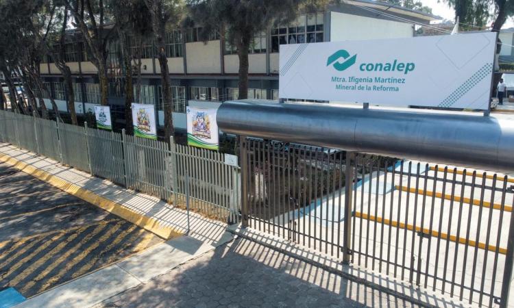 PACHIUCA IFIGENICA FOTO 1 