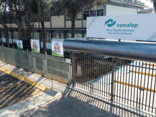 PACHIUCA IFIGENICA FOTO 1 